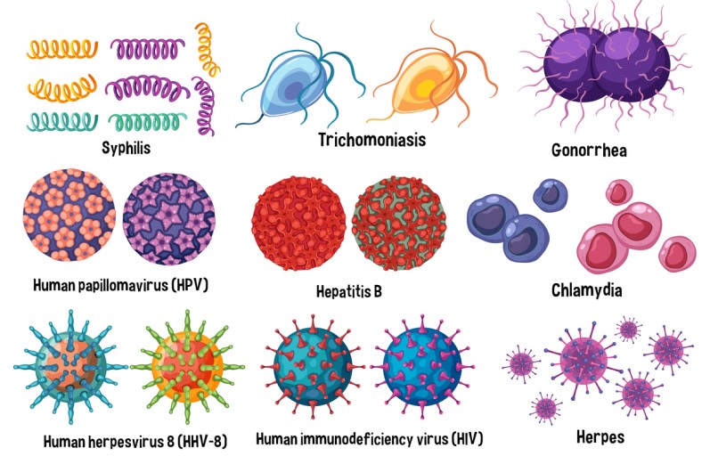 رسم توضيحي للفيروسات التي تصيب الأنسان عبر الاتصال الجنسي