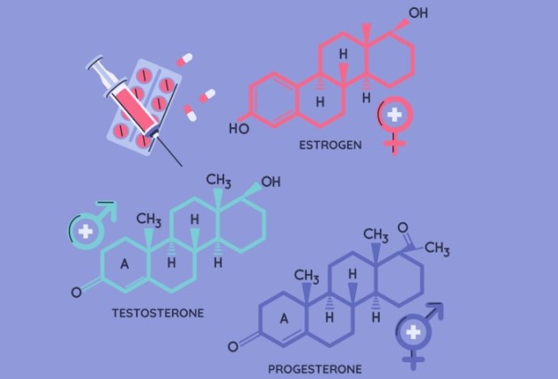 الصيغ الكيميائية لهرمونات الأستروجين والبروجسترون والتستوستيرون