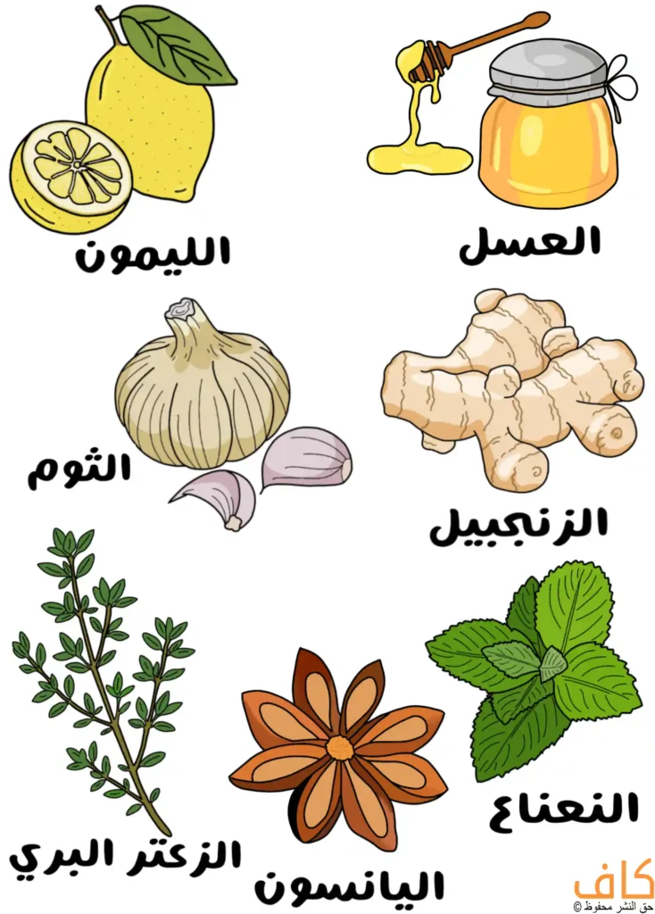 رسم توضيحي يُظهر ثمرة ليمون كاملة وأخرى مقطوعة، ومرطبان عسل مع ملعقة ينساب منها العسل، ورأس ثوم مع فصوص مقشّرة، وجذور زنجبيل طازجة، وأغصان زعتر بري خضراء، وزهرة يانسون بنية، وأوراق نعناع خضراء.